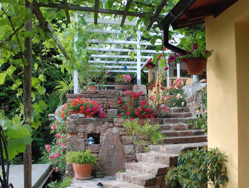 Am Berggarten Хайдельберг Экстерьер фото